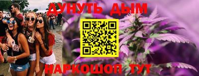 крисы Лесосибирск