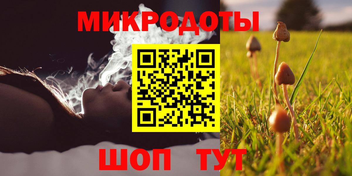 купить закладку  Галлюциногенные грибы Magic Shrooms  Вход с VPN  Галлюциногенные грибы Magic Shrooms  Черногорск 